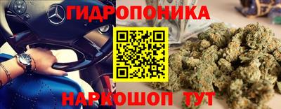 индика Кунгур