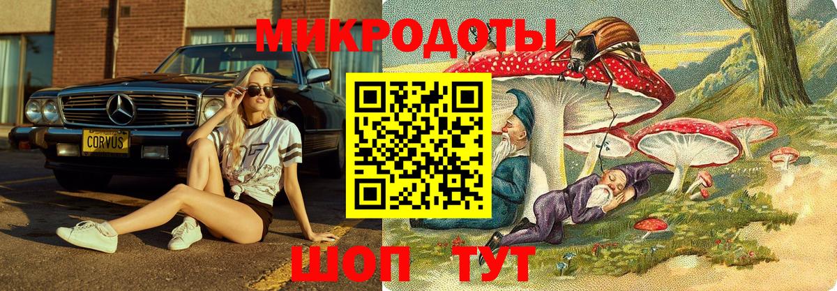 Галлюциногенные грибы GOLDEN TEACHER  Вход с VPN  Дзержинск 