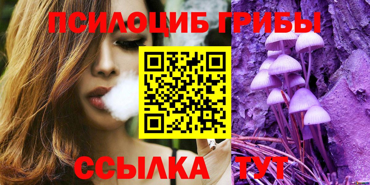 Псилоцибиновые грибы GOLDEN TEACHER Дзержинск